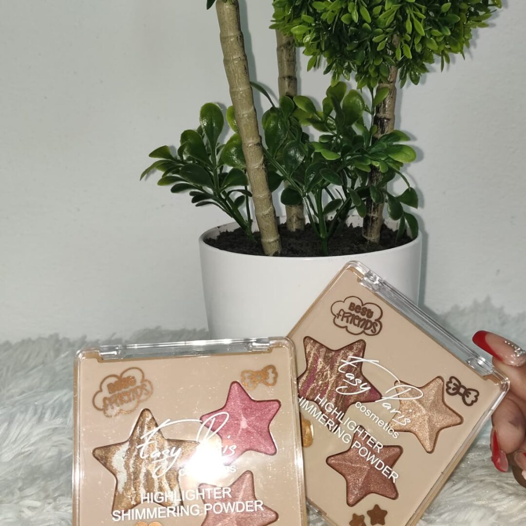 PALETA DE ILUMINADORES Y COLORETES