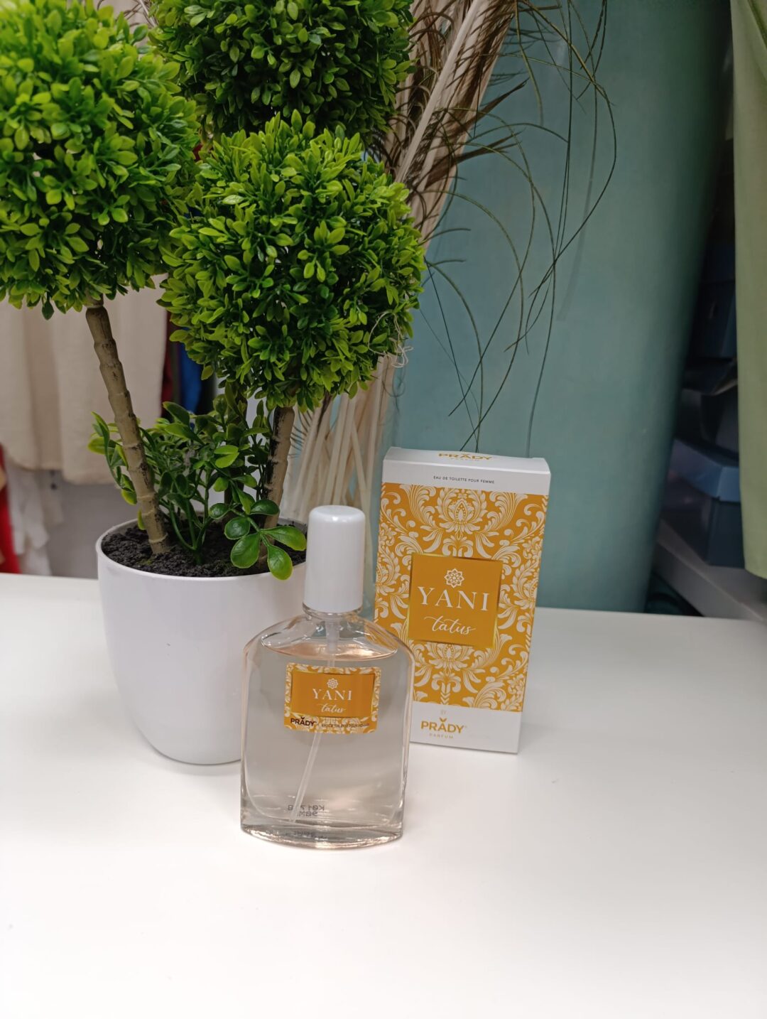Colonia Yara de mango
